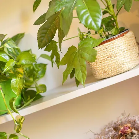 Konukevi I Due Mondi 4*