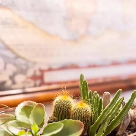 I Due Mondi 费拉约港