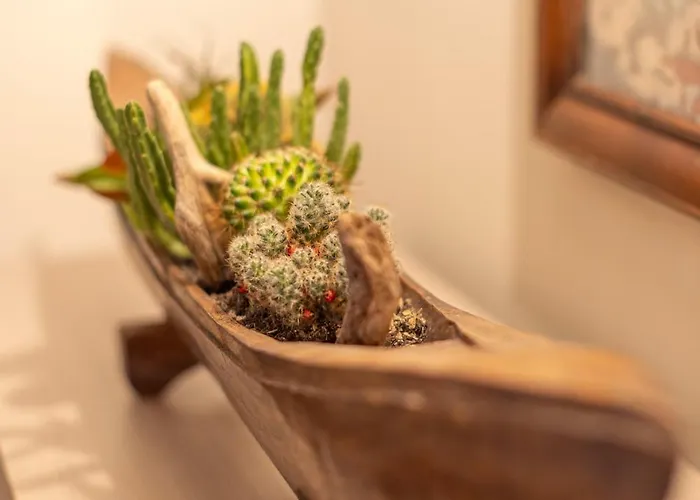 I Due Mondi Affittacamere 4*