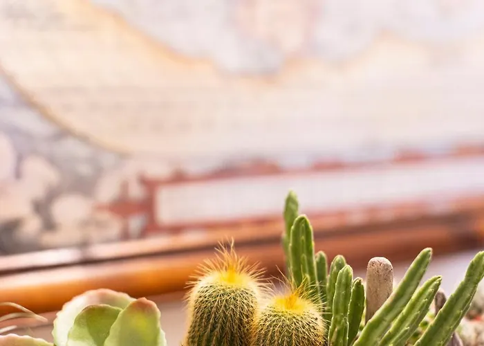 I Due Mondi Portoferraio